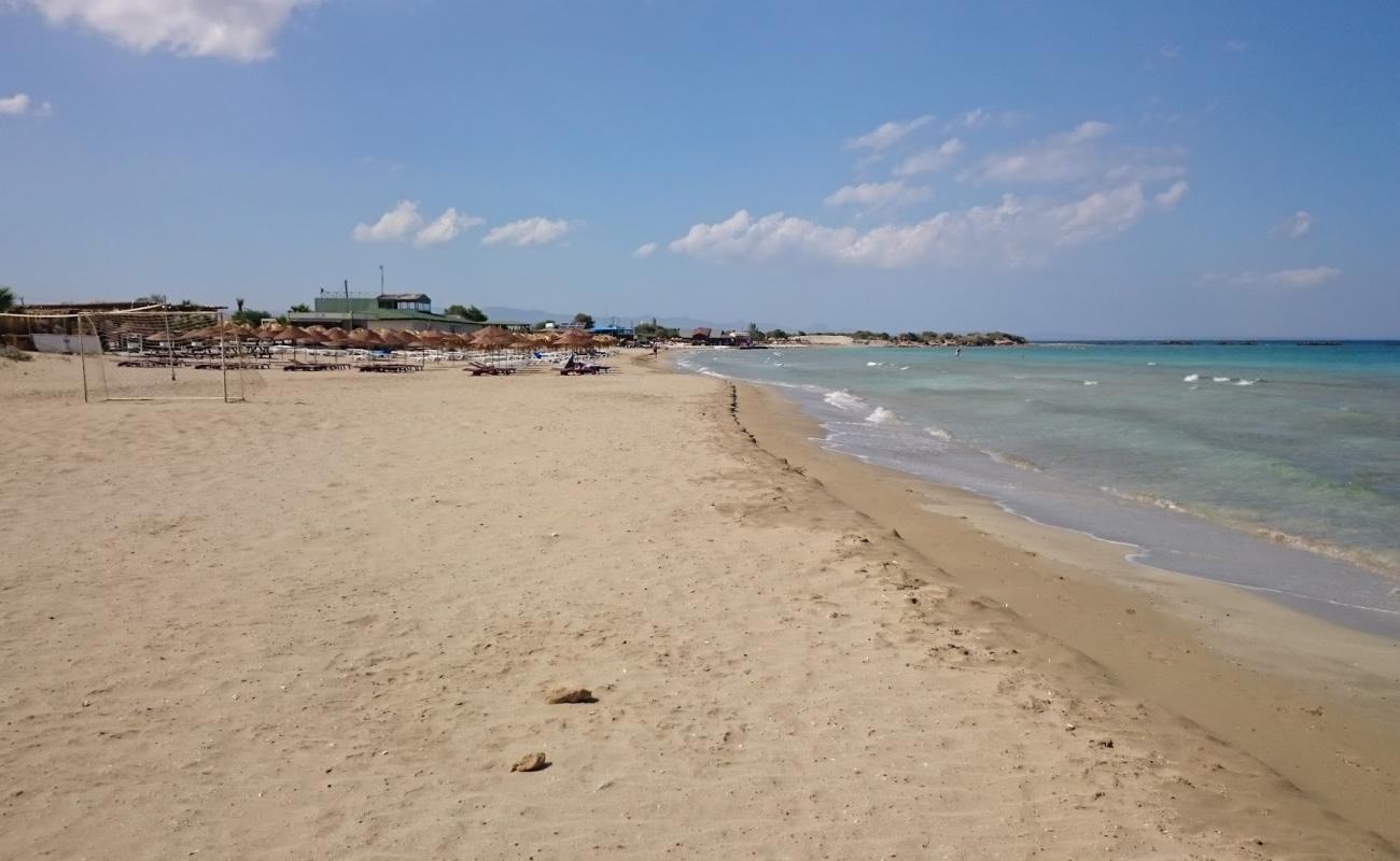 Photo de Golden Bay Beach avec sable beige de surface