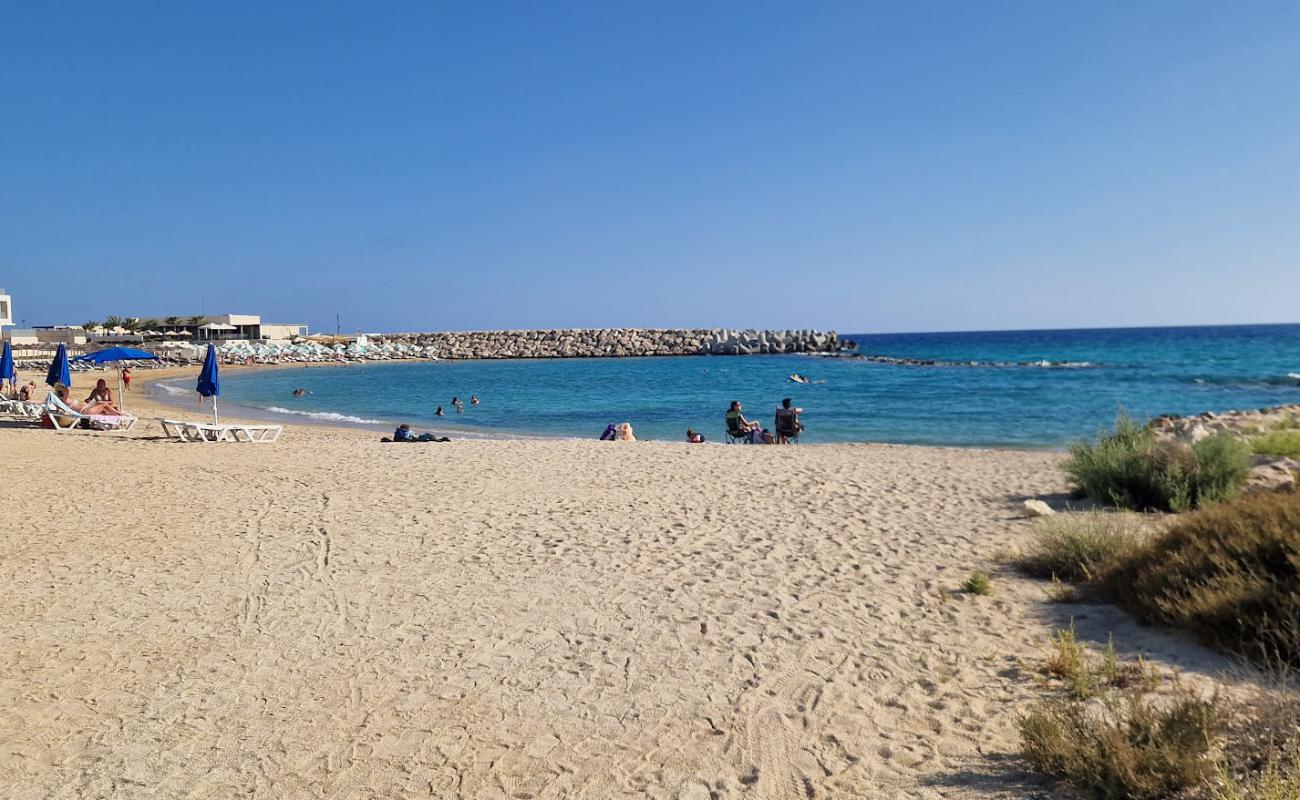 Photo de Ayia Napa Turtle Beach avec sable beige de surface