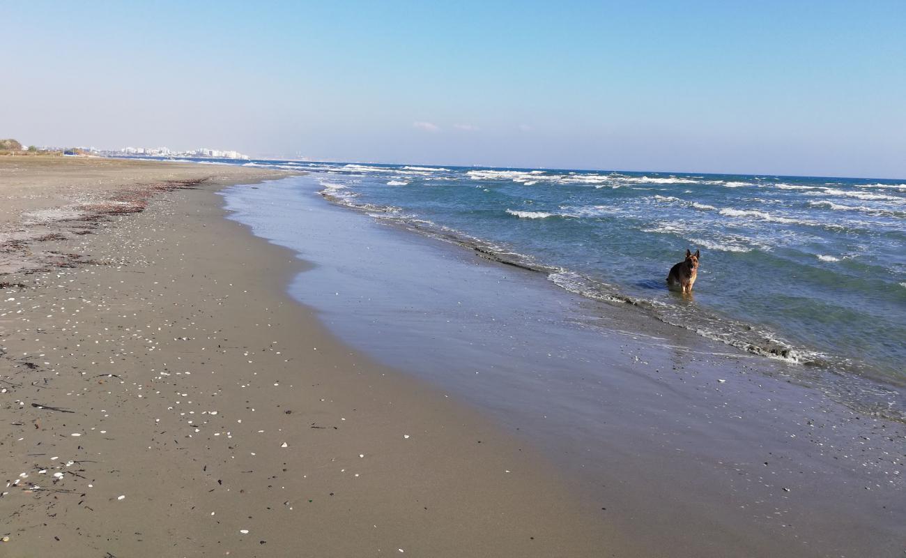 Photo de Kasianes Dog Beach avec sable beige de surface