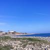 Mazotou Beach