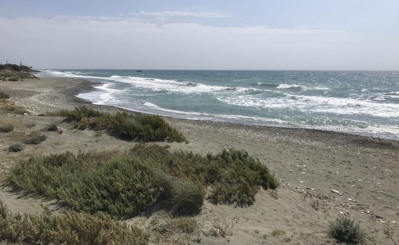Photo de Parklane Dog's Beach avec sable gris & galets de surface