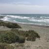 Parklane Dog's Beach