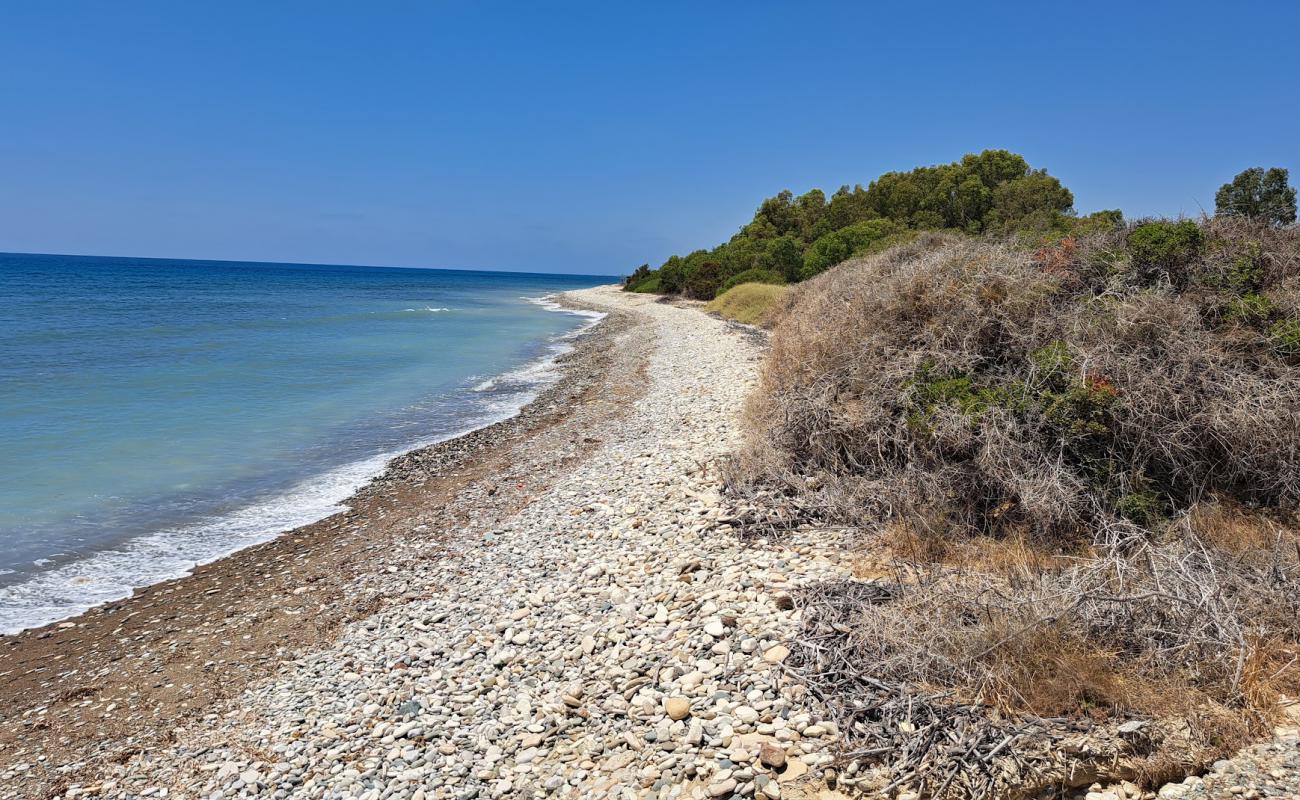 Photo de Ranti Forest Beach avec galets gris de surface