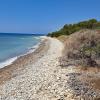 Ranti Forest Beach