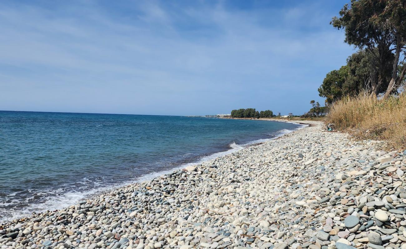 Photo de Achelia Dog Beach avec galets gris de surface