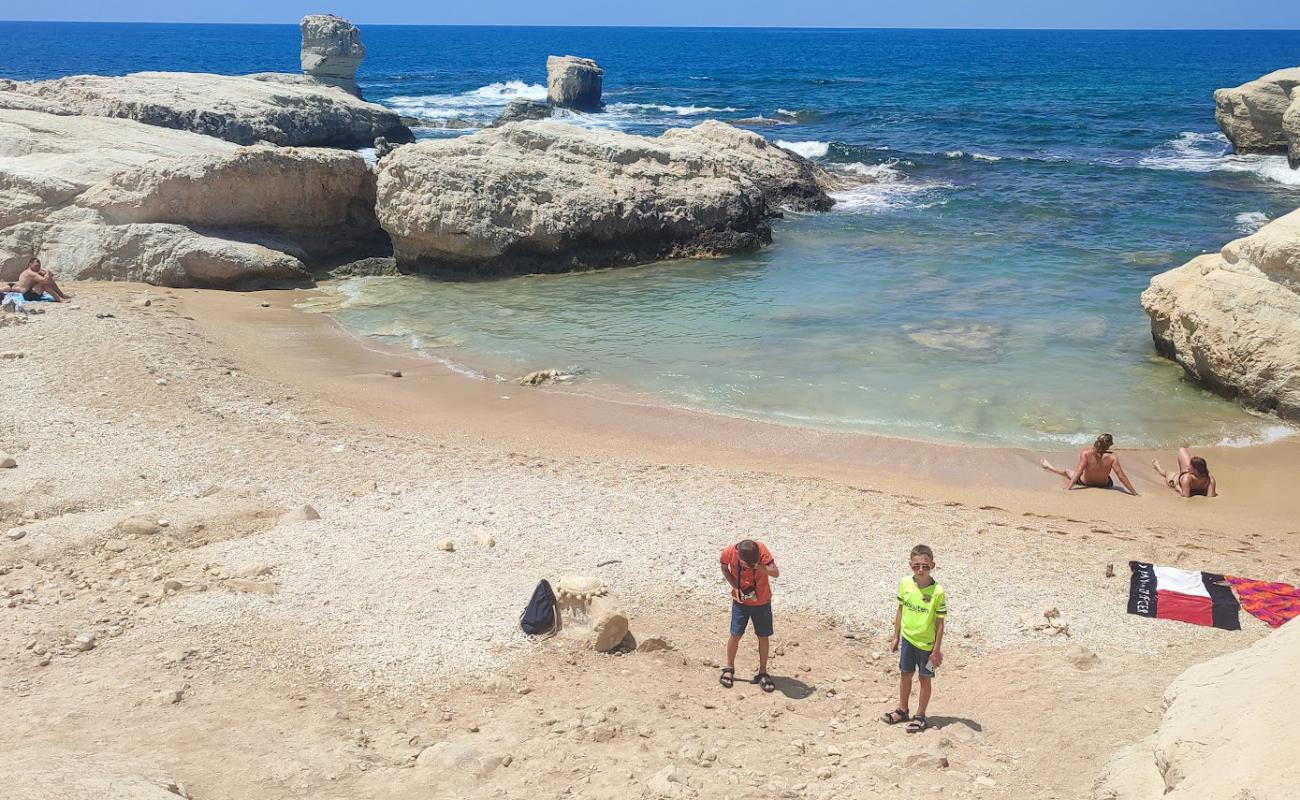 Photo de Ektoras Beach avec sable beige & pierres de surface