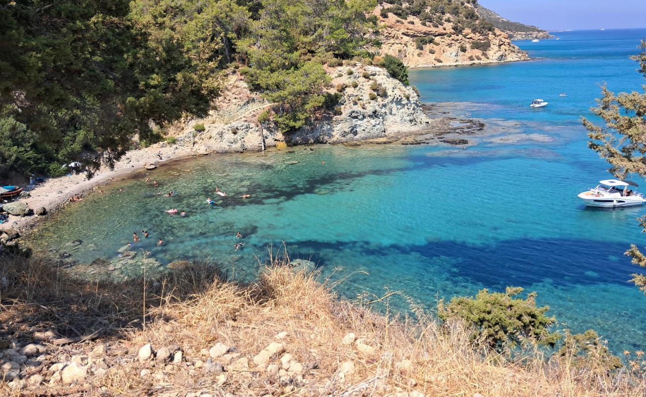 Photo de Green Lagoon Beach avec galets gris de surface