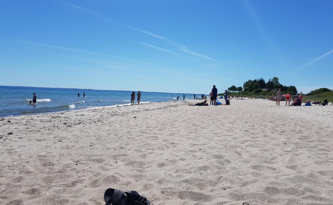 Photo de Drejby Beach avec sable lumineux de surface