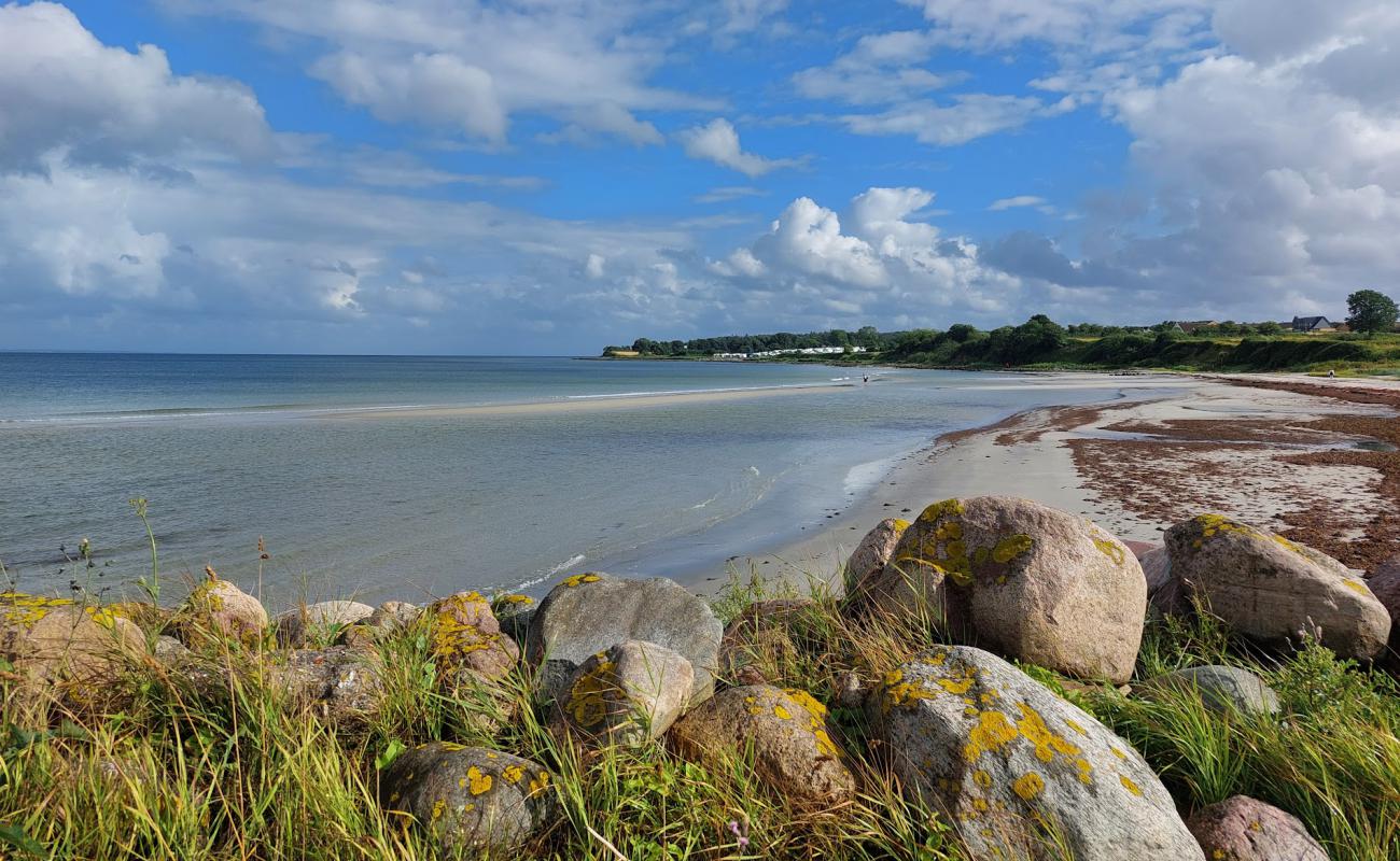 Photo de Fynshav Beach avec sable lumineux de surface