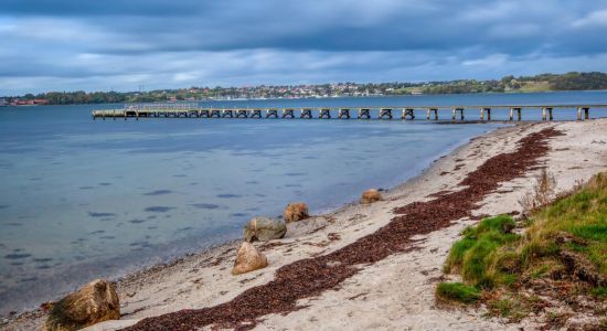 Loverodde Beach