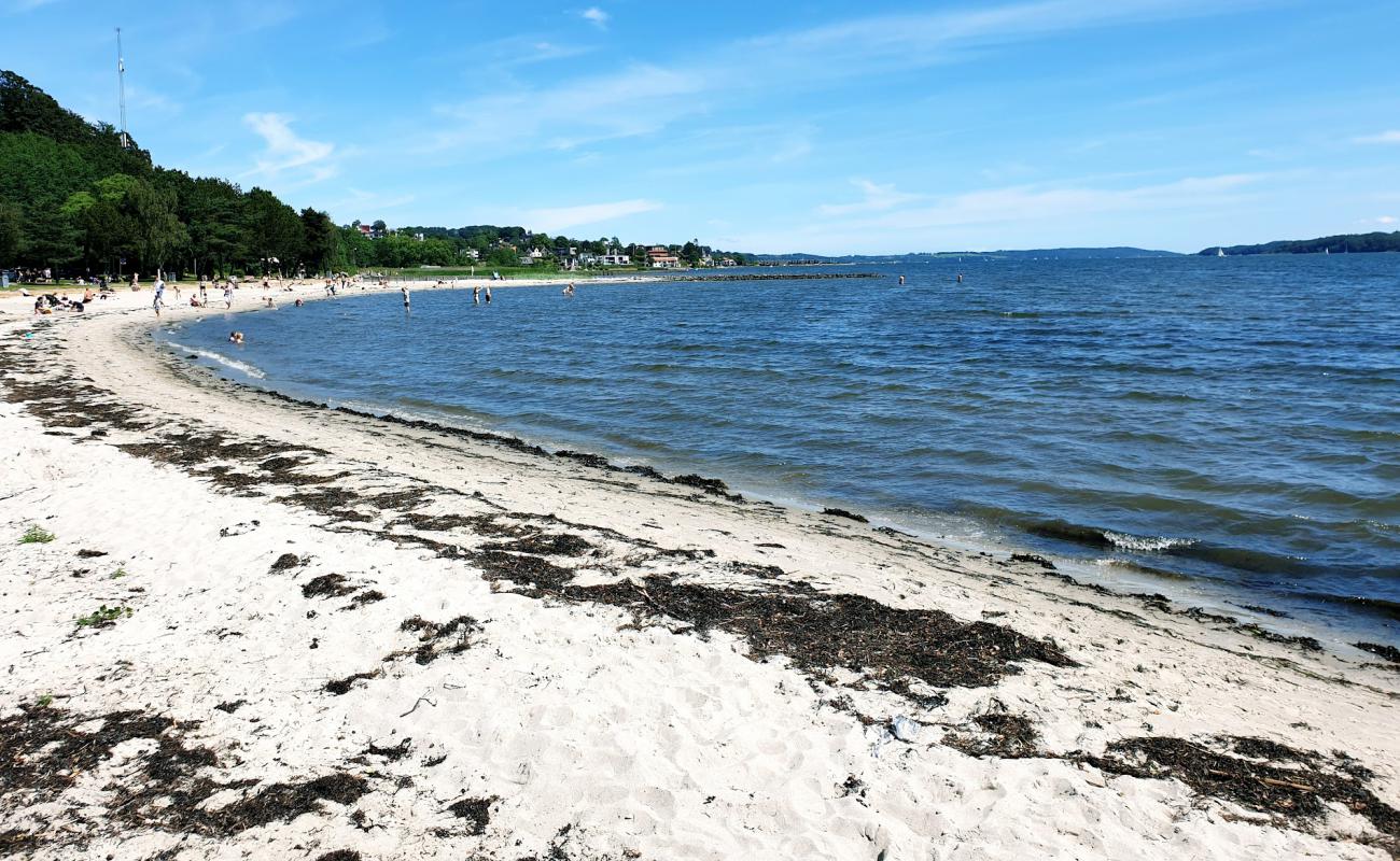 Photo de Albuen Beach avec sable lumineux de surface