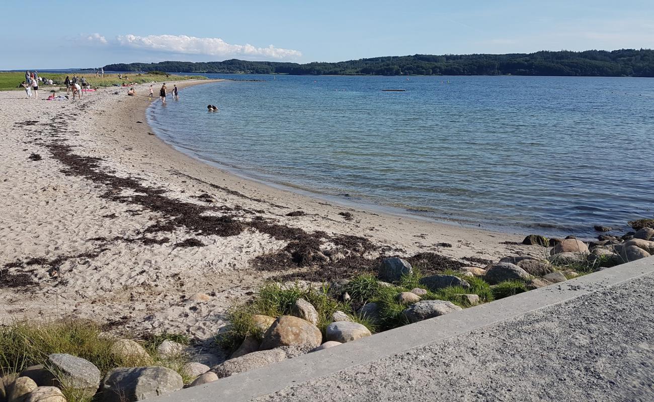 Photo de Tirsbak Beach avec sable clair avec caillou de surface