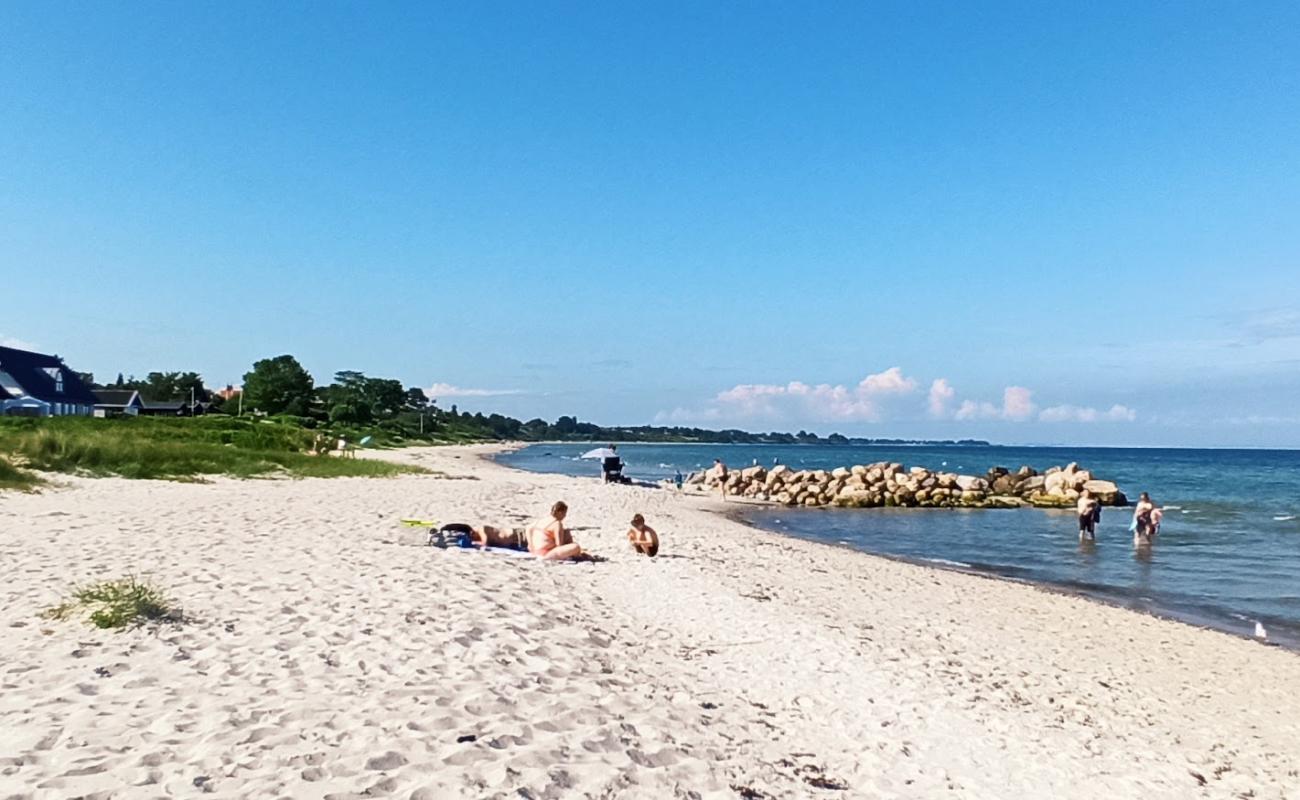 Photo de Dyngby Beach avec sable beige de surface