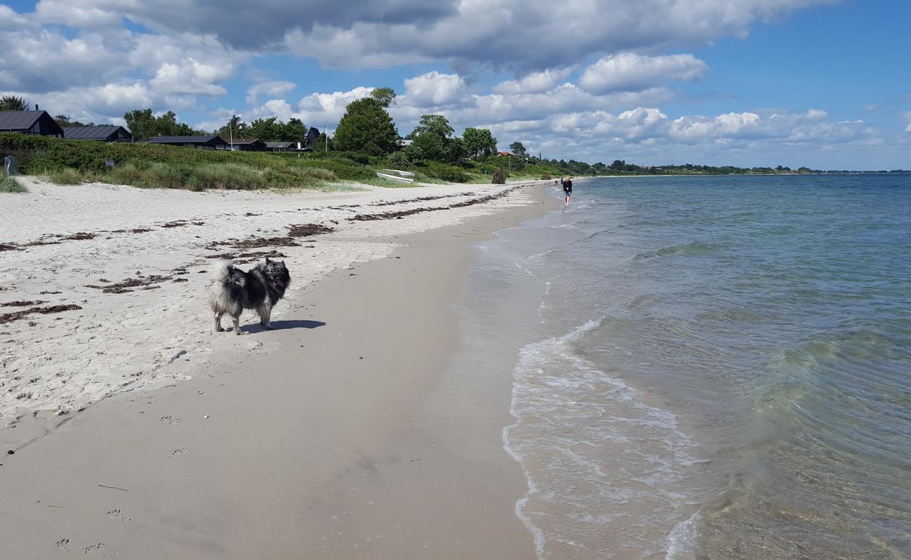 Photo de Saksild Beach avec sable beige de surface