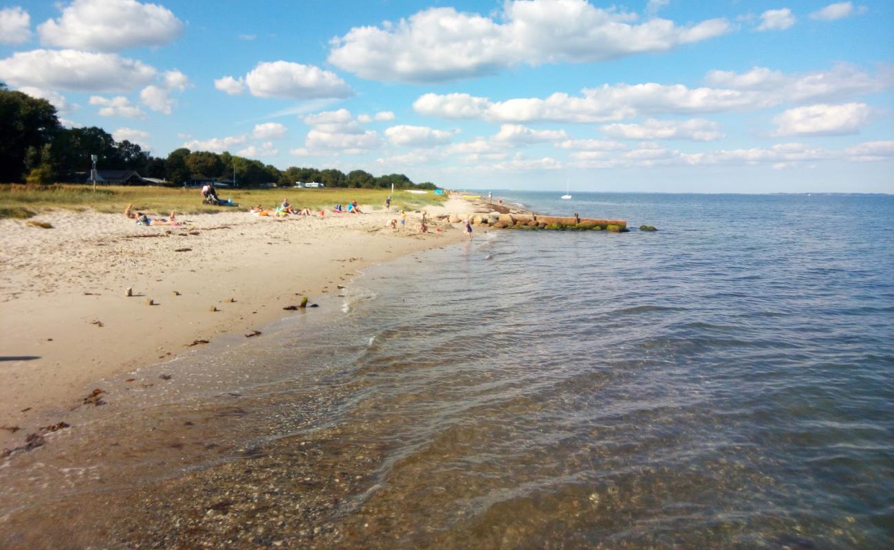 Photo de Ajstrup Beach avec sable lumineux de surface