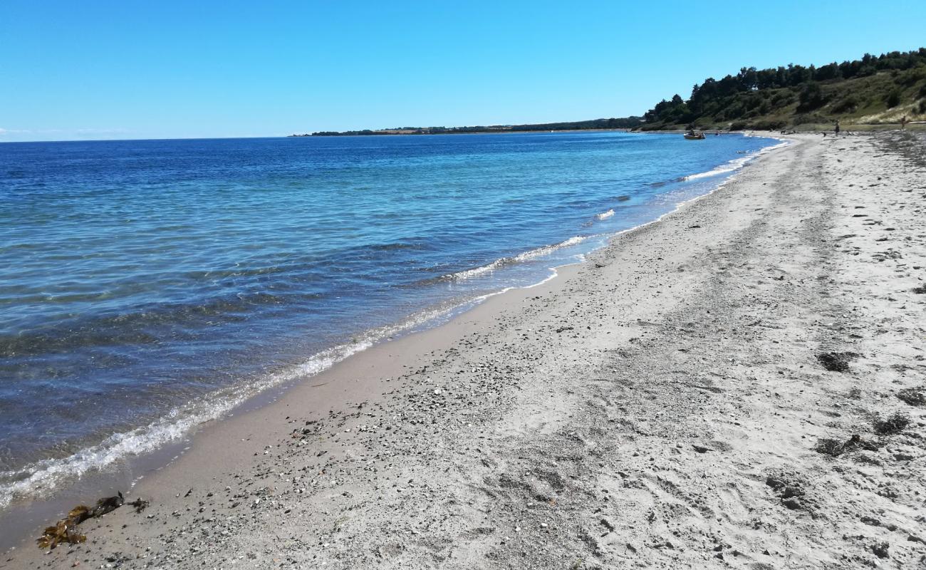 Photo de Fuglso Beach avec sable beige de surface