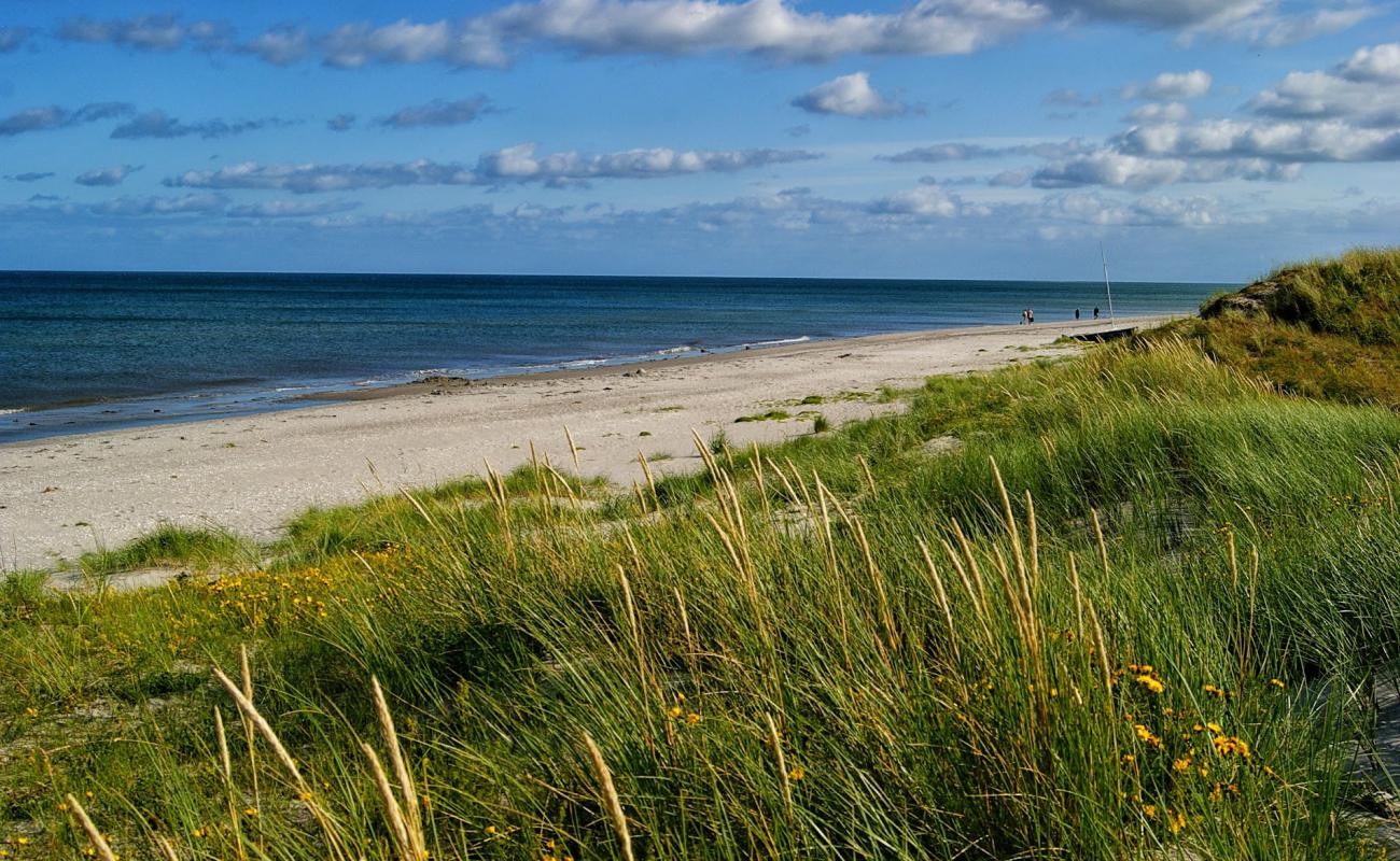 Photo de Lyngsa Beach avec sable lumineux de surface