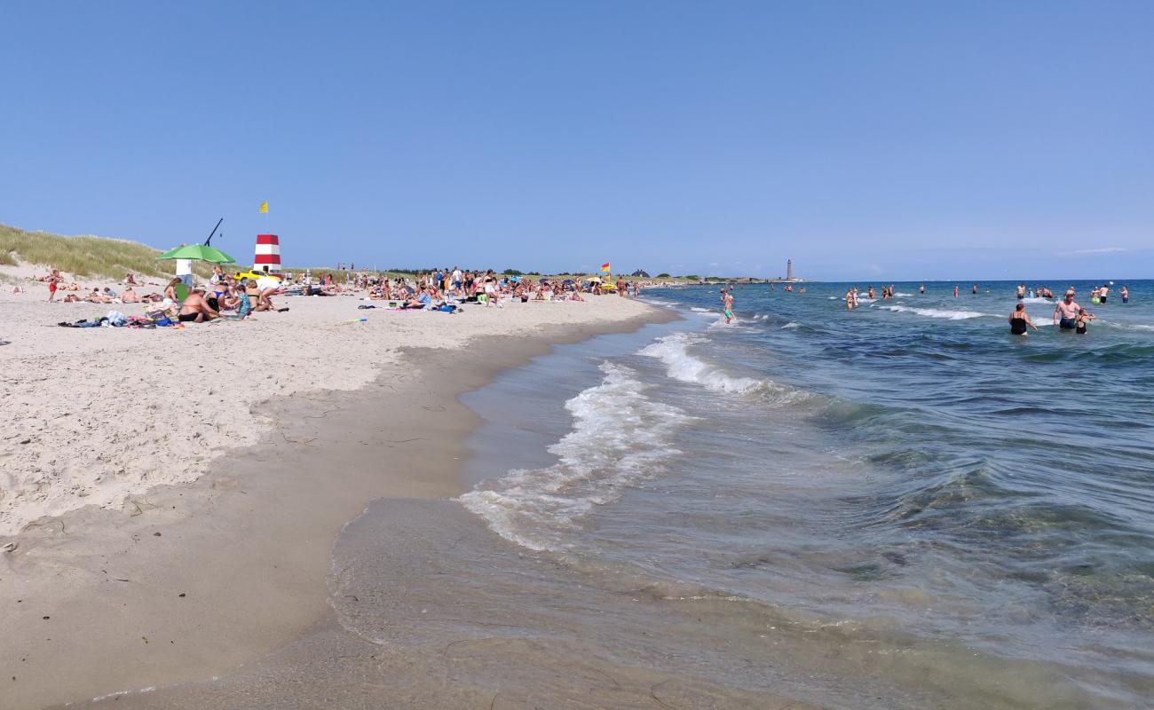 Photo de Skagen Sonder Beach avec sable beige de surface