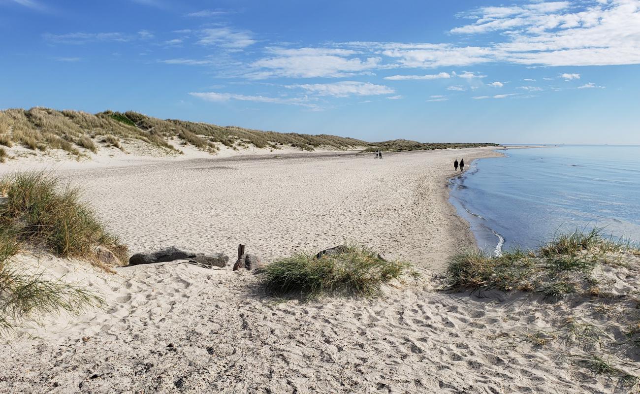 Photo de Gammel Skagen Beach avec sable beige de surface