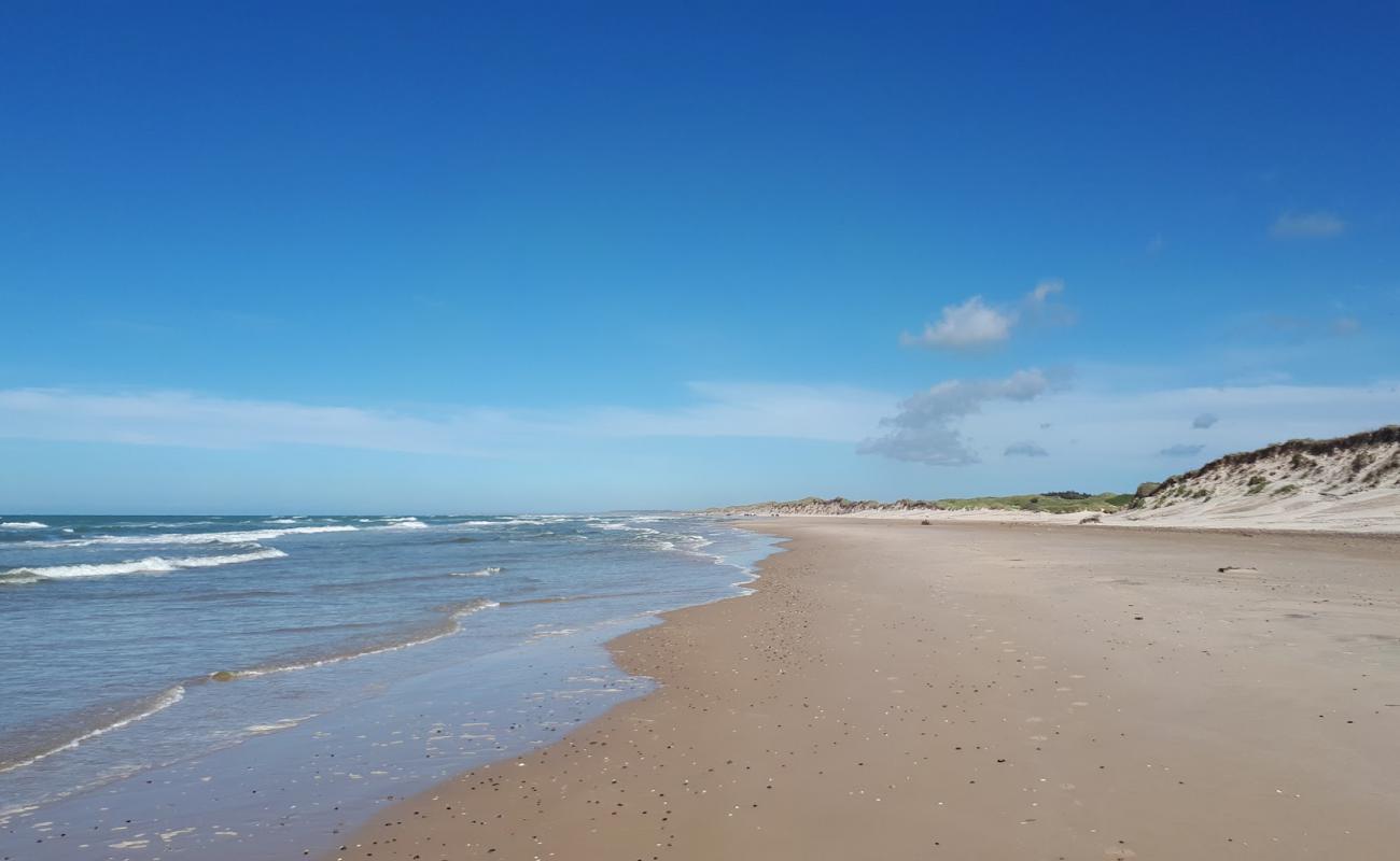 Photo de Tversted Beach avec sable beige de surface