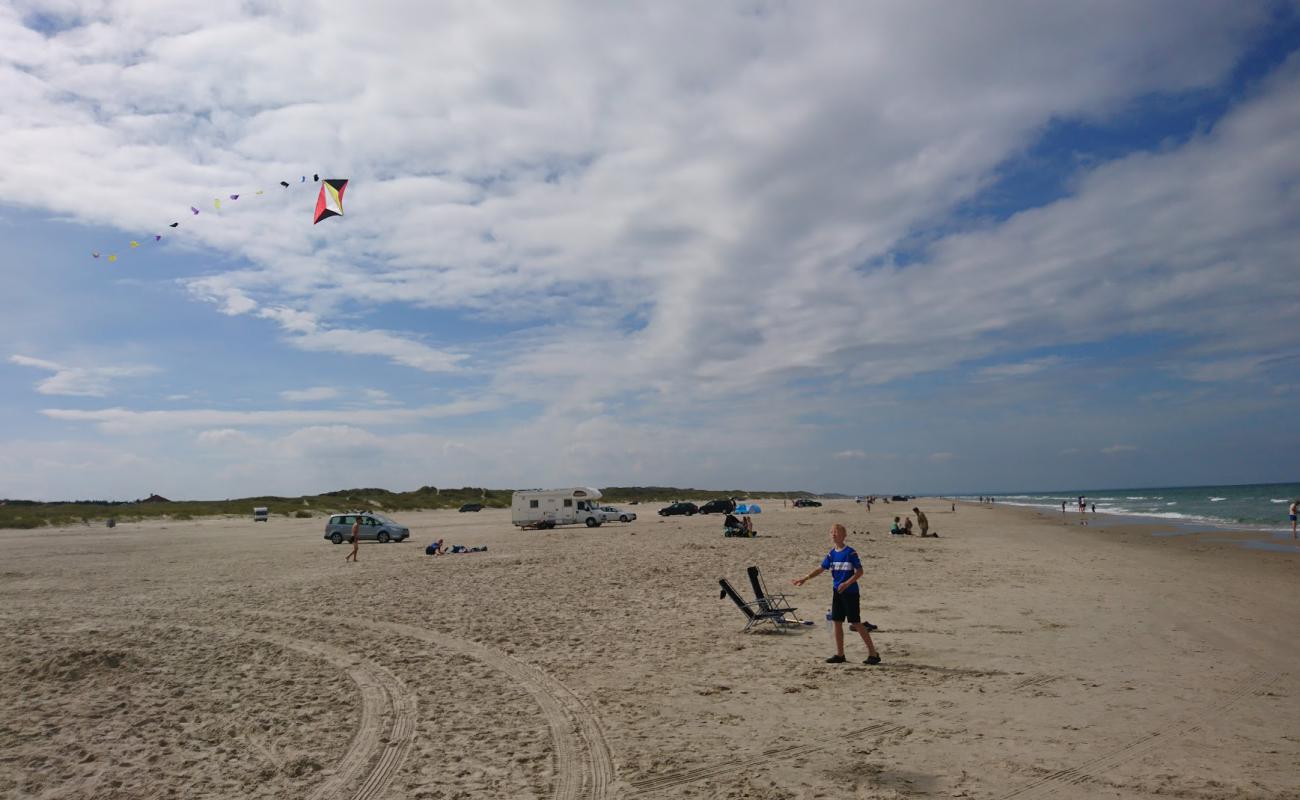 Photo de Gronhoj Beach avec sable lumineux de surface