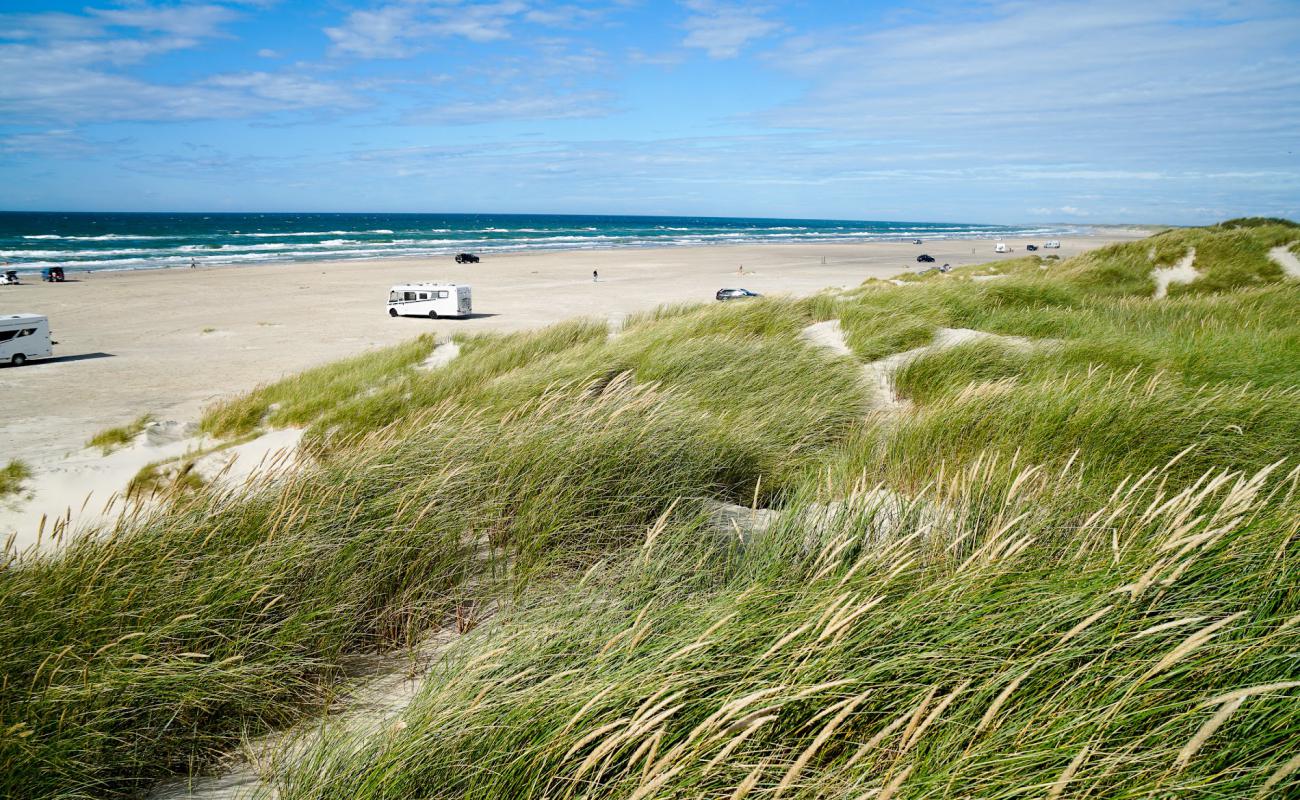 Photo de Rodhus Beach avec sable lumineux de surface