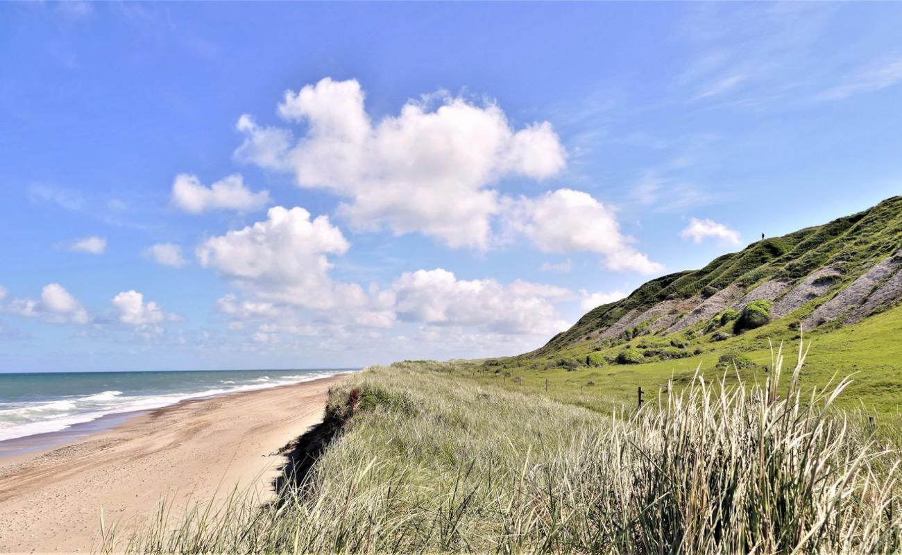 Photo de Svinklov Beach avec sable lumineux de surface