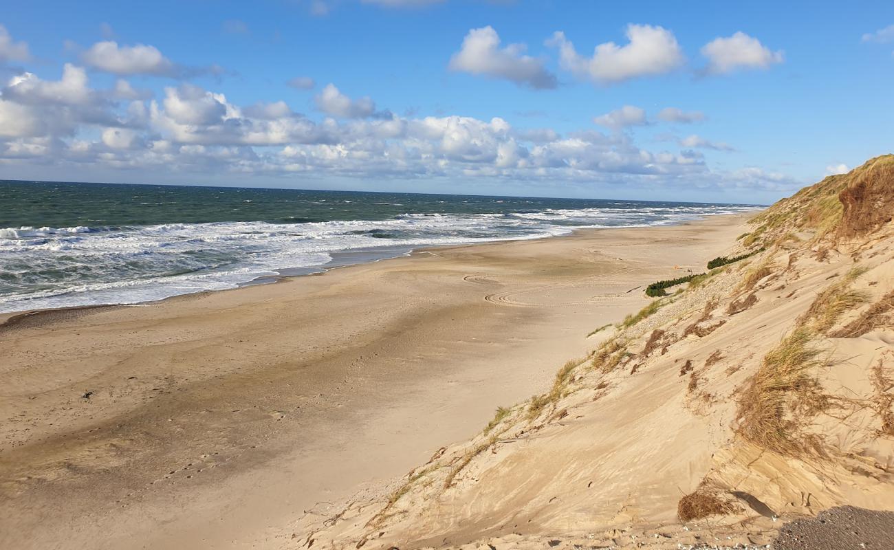 Photo de Lyngby Beach avec sable beige de surface