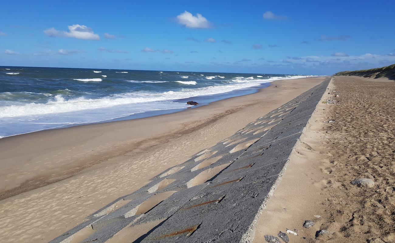 Photo de Vejlby Klit Beach avec sable beige de surface