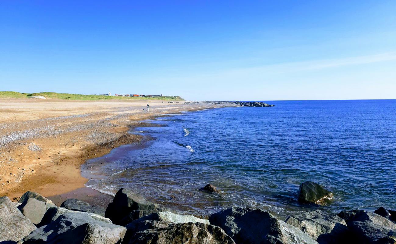 Photo de Ferring Beach avec sable beige de surface