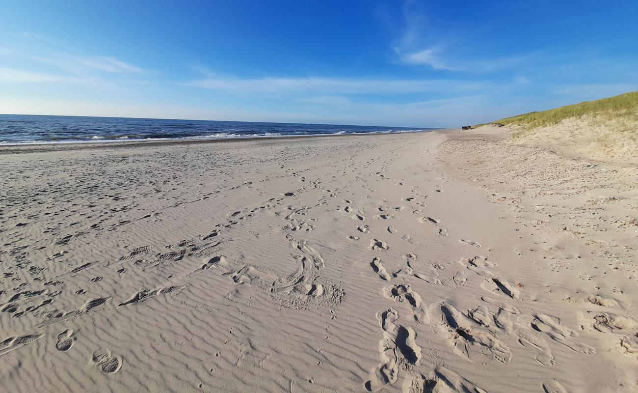 Photo de Spidsbjerg Beach avec sable beige de surface