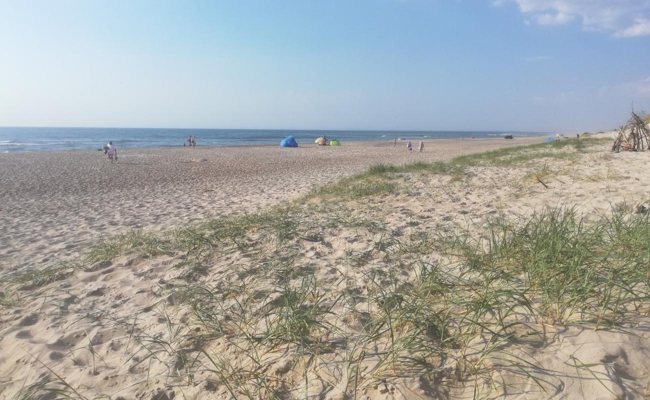 Photo de Sidselbjerg Beach avec sable beige de surface