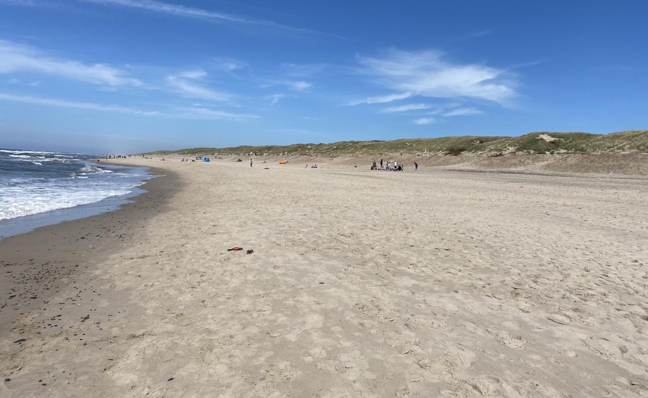 Photo de Sondervig Beach avec sable beige de surface