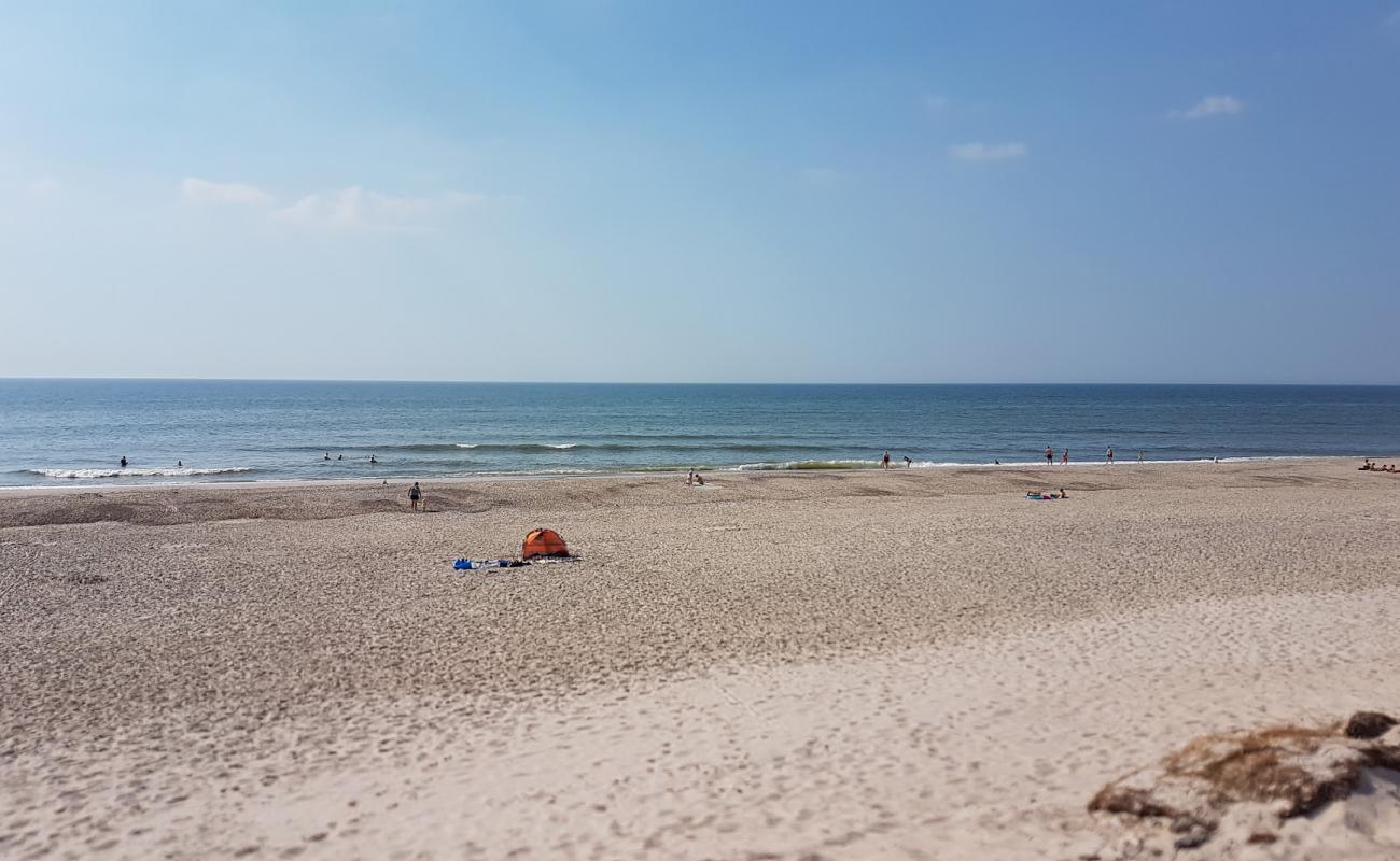 Photo de Bjerregard Beach avec sable lumineux de surface