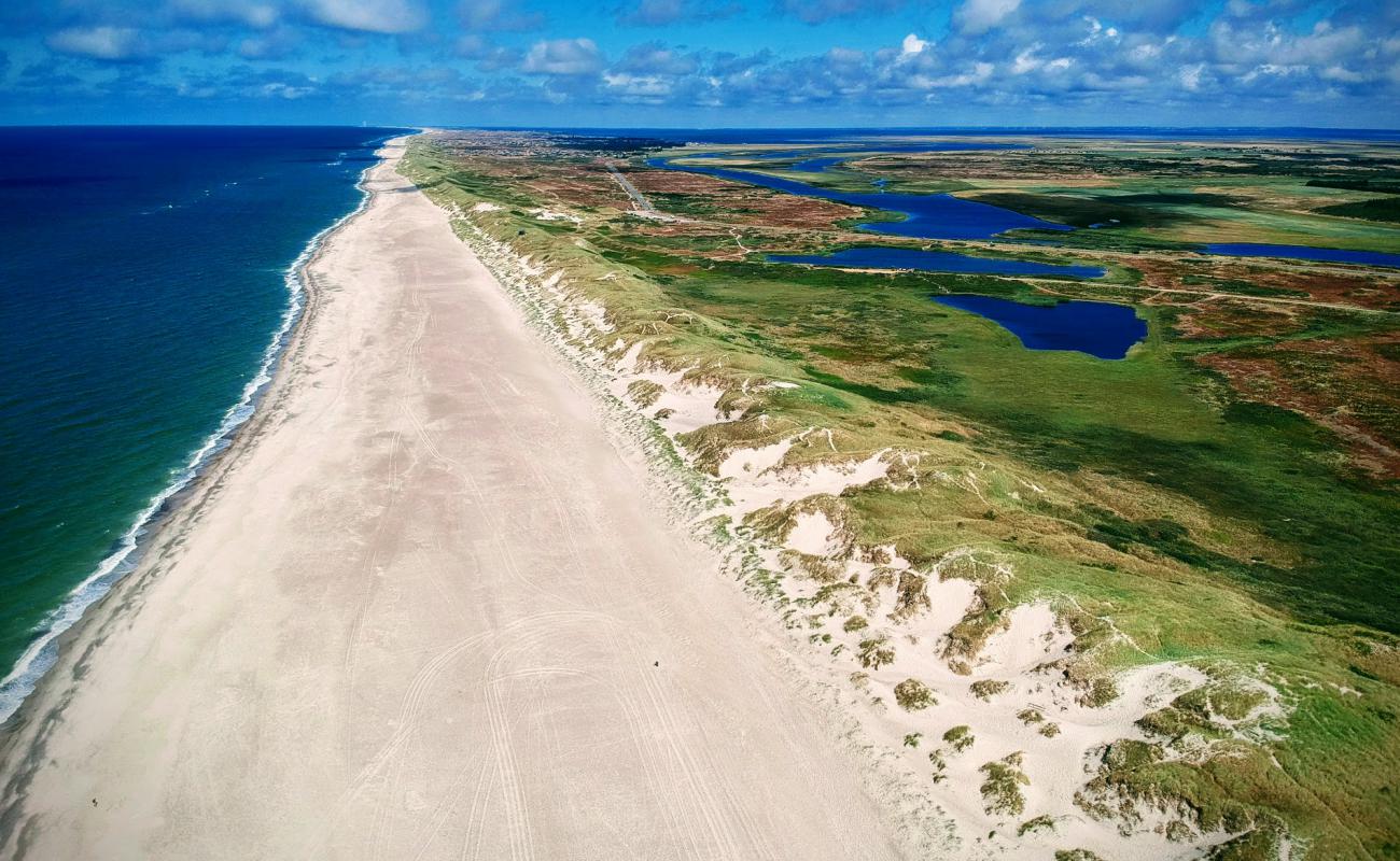 Photo de Nymindegab Beach avec sable lumineux de surface