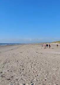 Région du Danemark du Sud