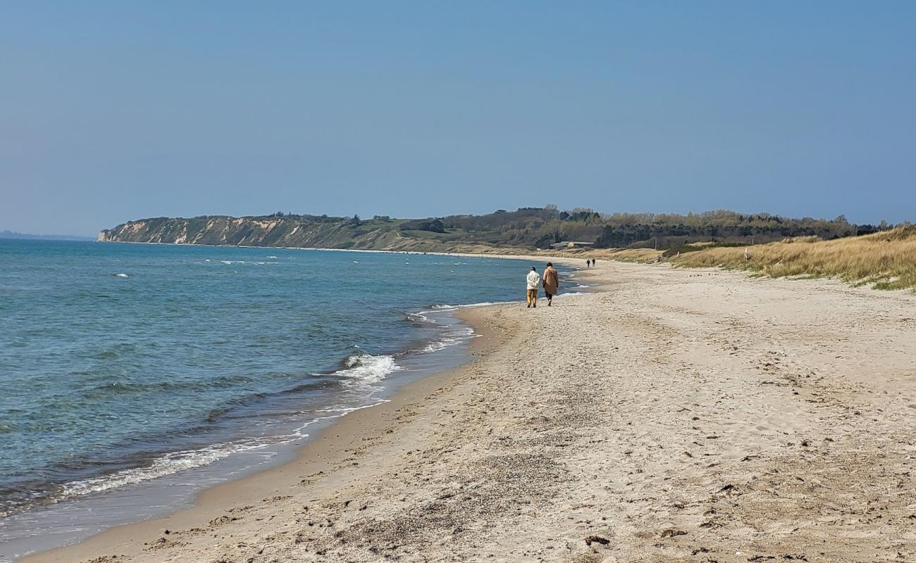 Photo de Bjornhoj Beach avec sable beige de surface