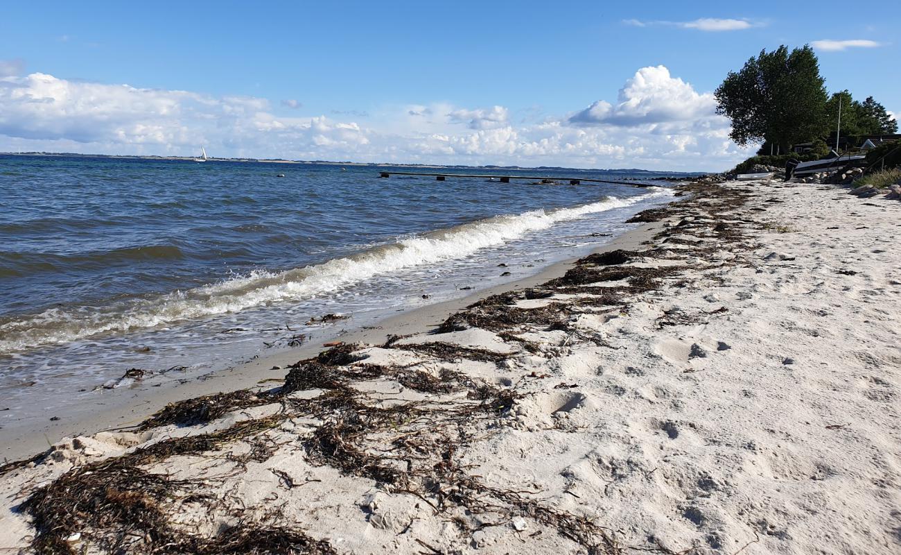 Photo de Elsehoved Beach avec sable lumineux de surface