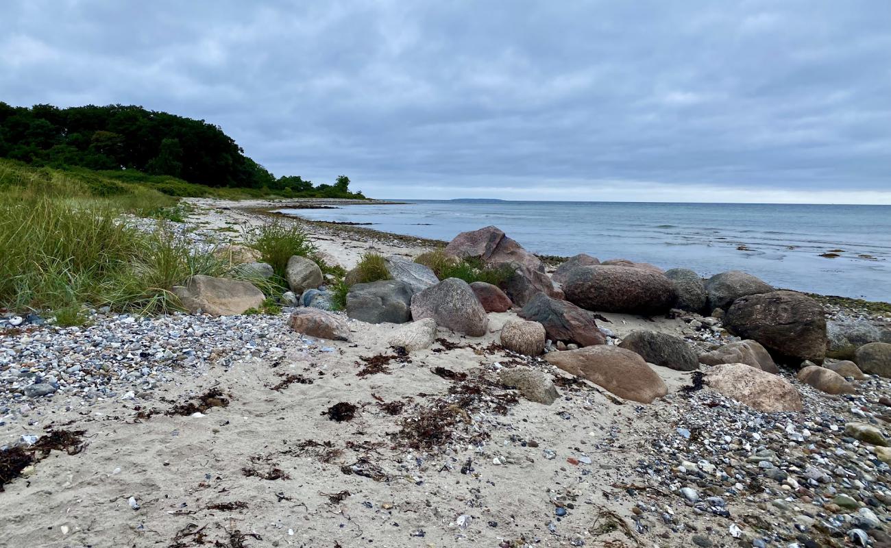 Photo de Nordenhuse Beach avec sable clair avec caillou de surface