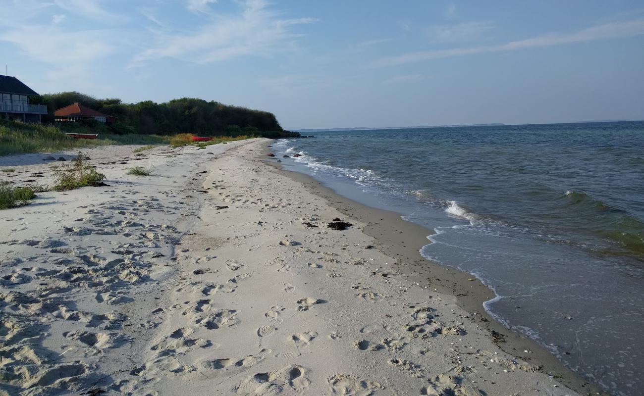 Photo de Dinestrup Beach avec sable lumineux de surface