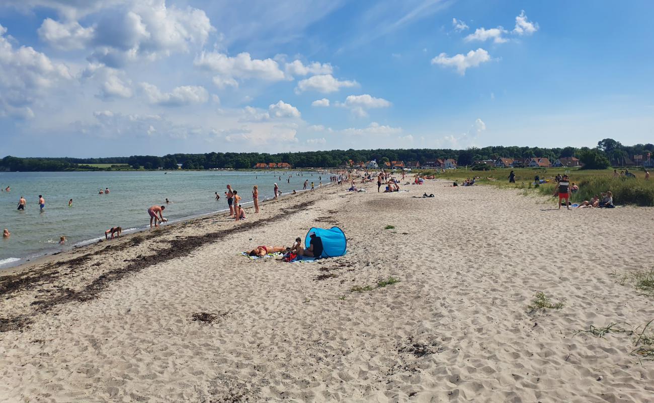 Photo de Kerteminde Beach avec sable clair avec caillou de surface