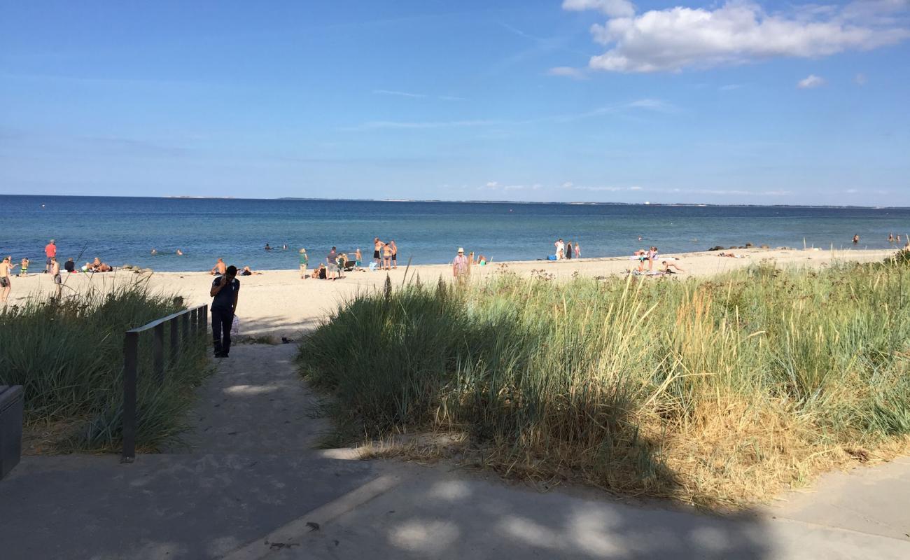 Photo de Hasmark Beach avec sable lumineux de surface