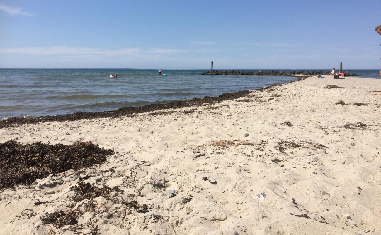 Photo de Bogense Beach avec sable lumineux de surface