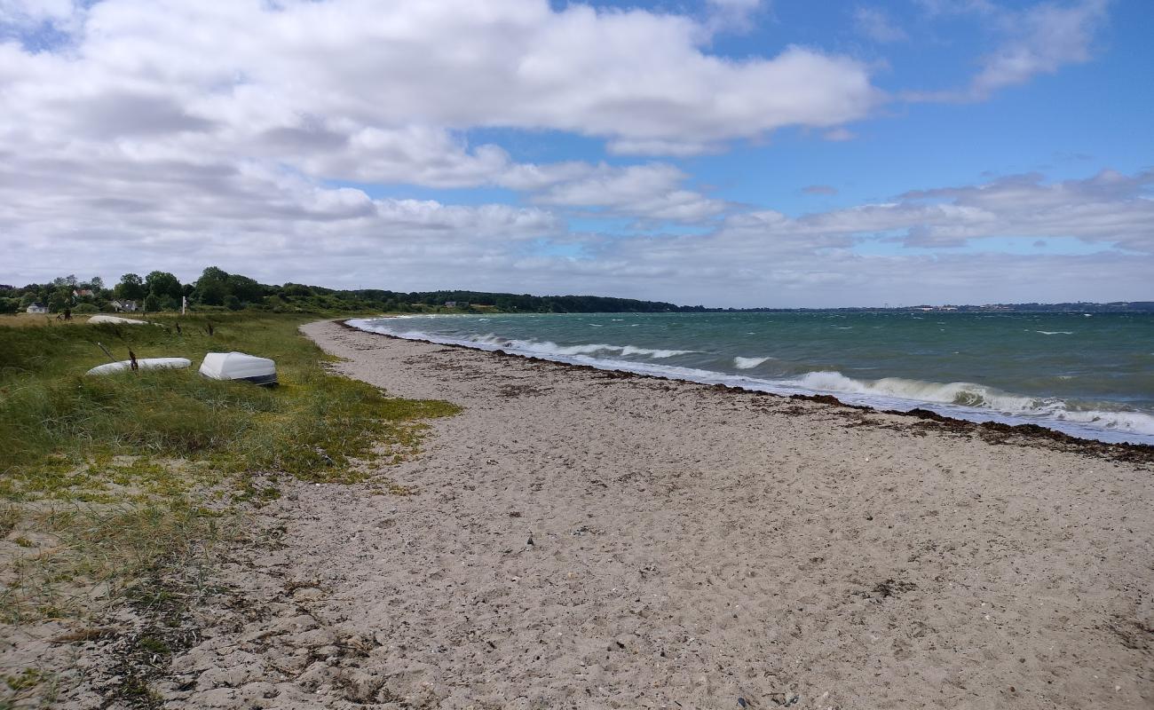 Photo de Varbjerg Beach avec sable brillant et rochers de surface