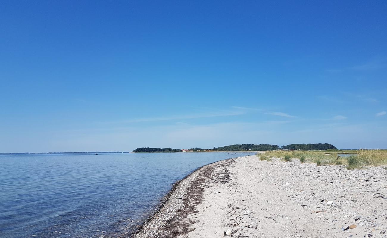 Photo de Saltofte Beach avec sable lumineux de surface