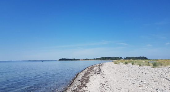 Saltofte Beach