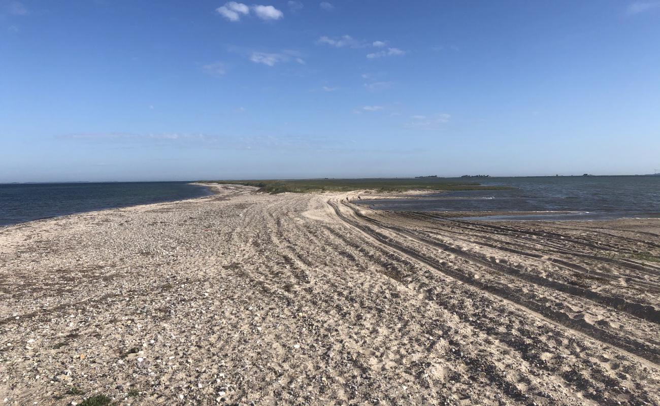 Photo de Albuen Beach avec sable lumineux de surface