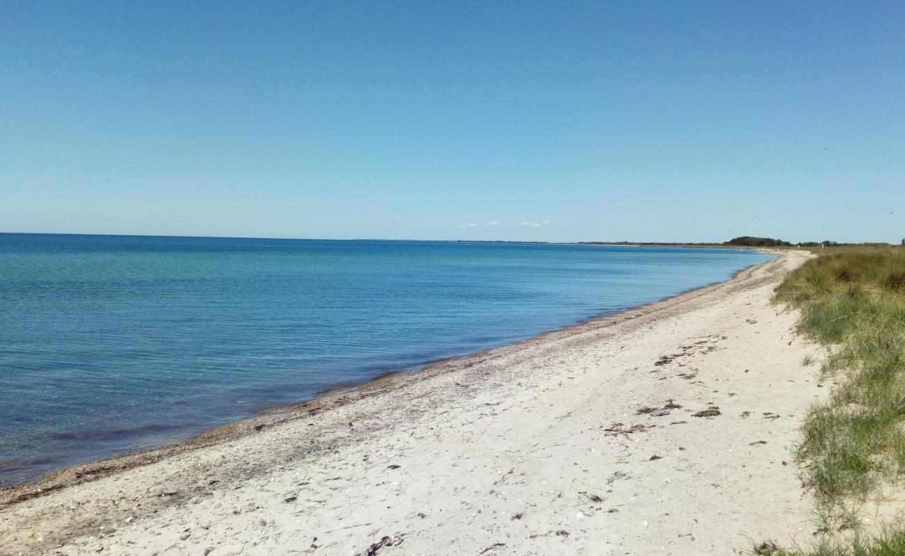 Photo de Bredfjed Beach avec sable lumineux de surface