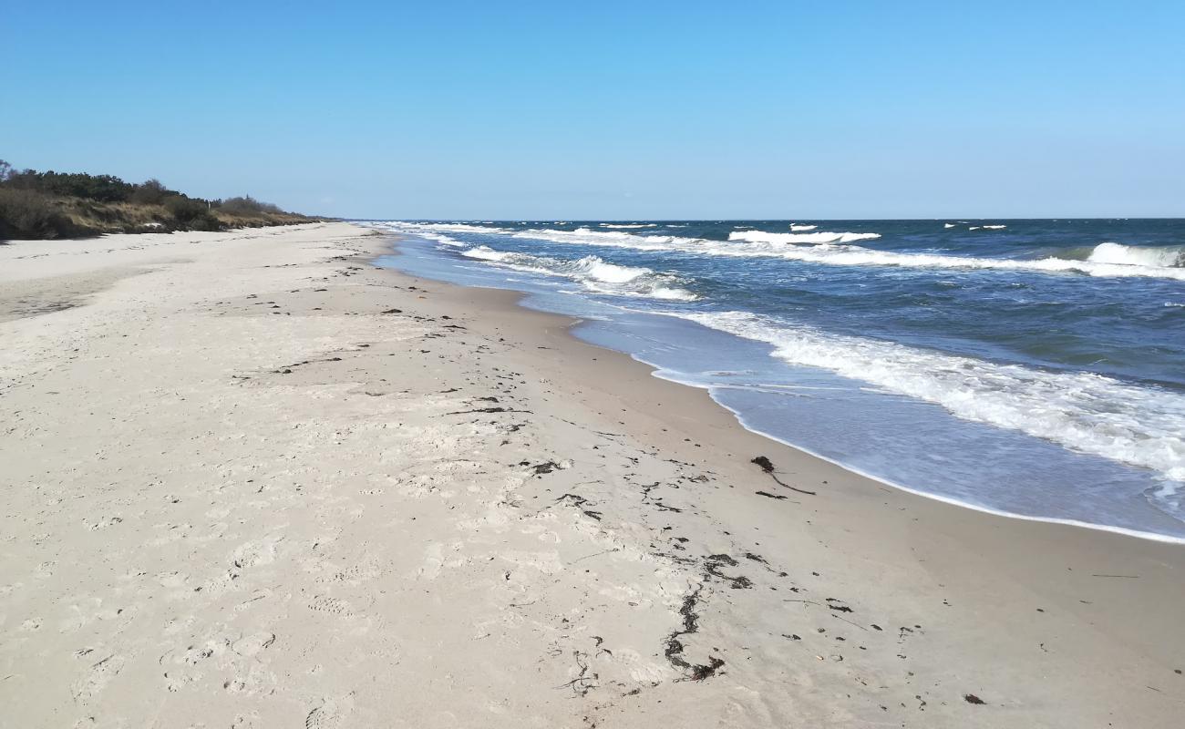 Photo de Gedesby Beach avec sable beige de surface