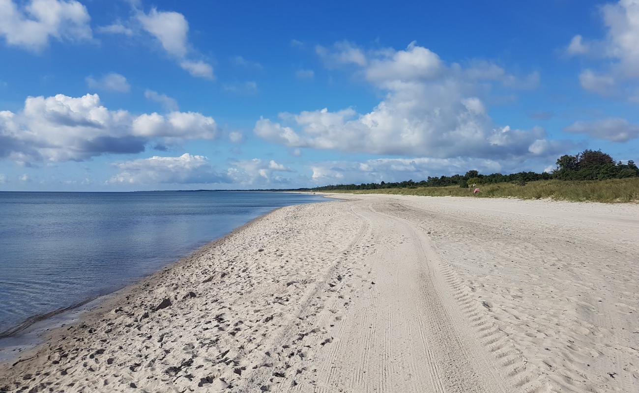 Photo de Marielyst Beach avec sable lumineux de surface